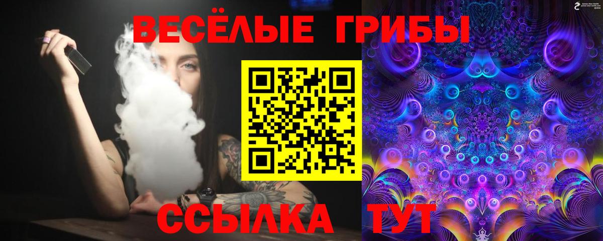 Псилоцибиновые грибы MAGIC MUSHROOMS Рубцовск
